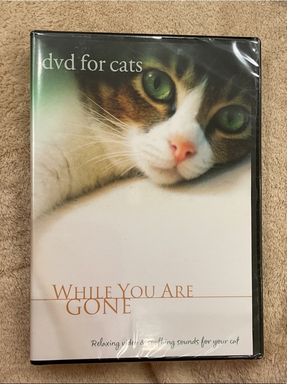 Relaxing DVD for Cats